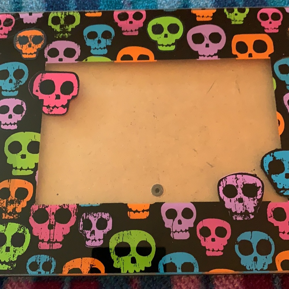 Skull Picture Frame - Picture 2 of 3